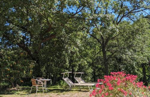 Le Mas Sérénité - Foto 72