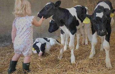 Newton Hall Farm cottage, hot tub garden views Nr Lytham Ribby - Foto 22