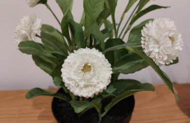 Cosy North Kensington Family apartment for 4 persons - Children stay free Netflix in all bedrooms Close to underground and overground stations - very convenient for Wembley Stadium - Foto 12