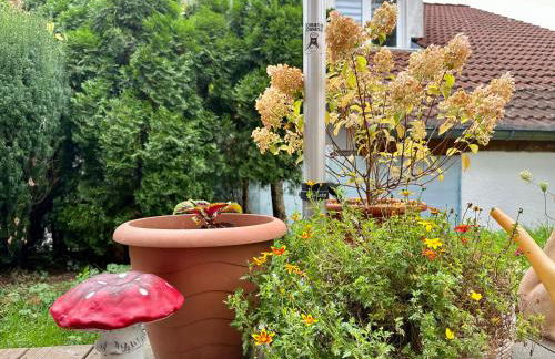 ☆Gemütliche 1-Zimmerwohnung mit Terrasse☆ - Foto 21