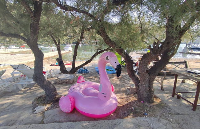 Neve - by the sea - A1 - Photo 11