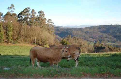La Casa de la Abuela Milagros - Photo 32