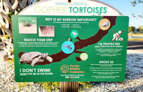 Charlies of Bokeelia - Foto 72