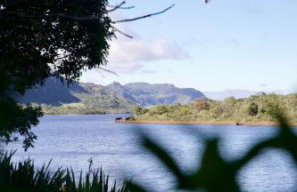 Refúgio na Lapinha com dois chalés, ideais para casal, família ou pequeno grupo de amigos, com acesso privativo à lagoa, caiaques e quadra de beach tennis - Foto 64
