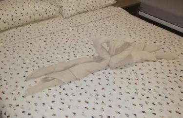 Nikini dvori - Foto 28