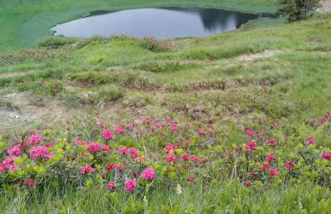 Fewo Wertachliebe - Photo 9