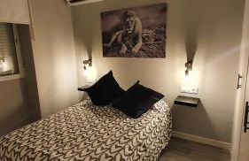 Alojamiento Turístico La Terraza de Córdoba - Foto 14