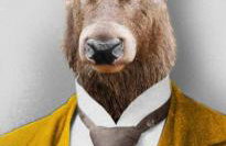 Beautiful Studio Chalet in the Highlands - Foto 51