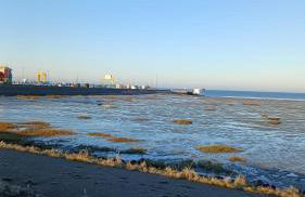 Nordseeferienhaus-Alma - Foto 24