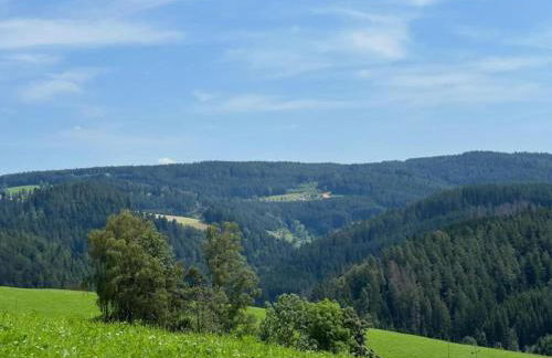 Lush Apartment in Furtwangen near Black Forest with Balcony - Foto 68