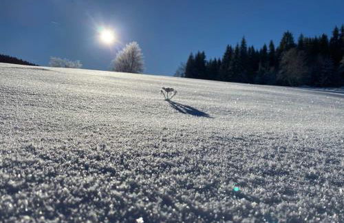 Alte Försterei Wildenthal am Kammweg Erzgebirge Ferienapartment 3 - Foto 15