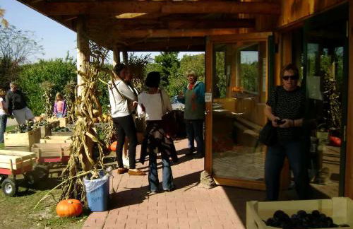 Luxury Yurt Rental Hidden in the Forest near Bristol, Vermont - Foto 33