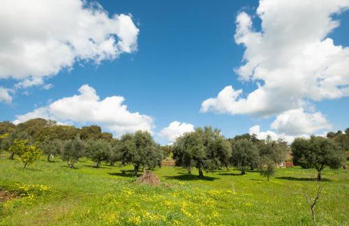 Luxe villa for 8 - Private Pool -AC -BBQ Area - Patio - 160Mbps - Olives - Palm - vineyard - Foto 24