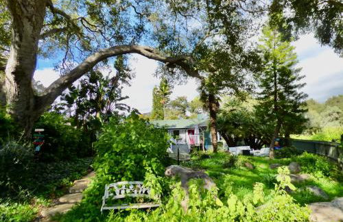 Under the Oaks Santa Barbara - Photo 4