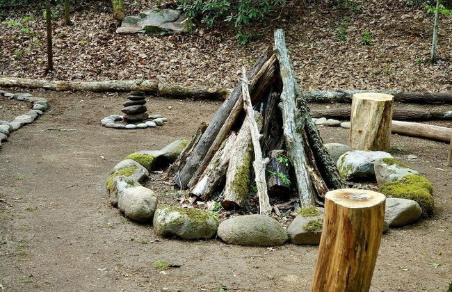 Elk Run On Cosby Creek - 2 Bedrooms, 2 Baths, Sleeps 7 Cabin by RedAwning - Foto 42