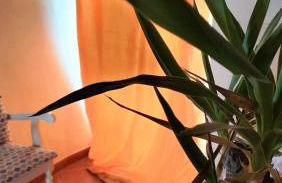 Casa Dominó - Foto 12