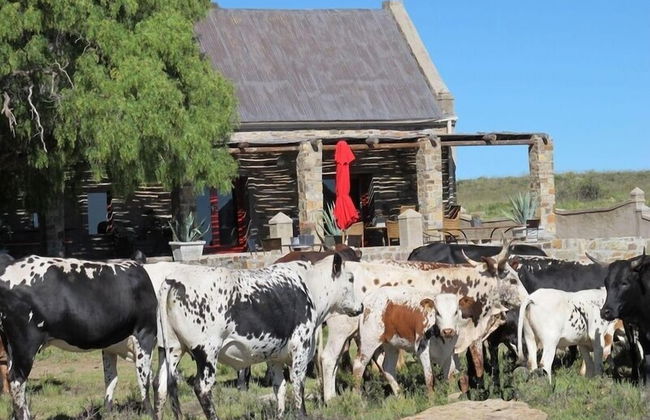 Sneeuberg Nature Reserve - Photo 20