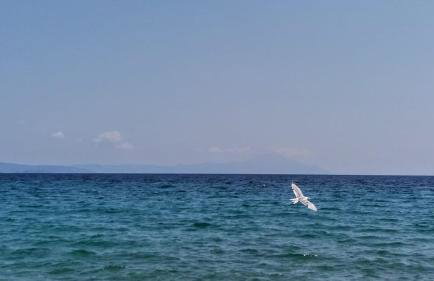 Marianthi's Stone House - Photo 28