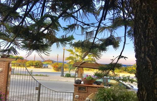 Una Araucaria sul mare - Foto 33