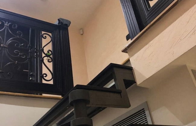 Beo-River Chocolate - Photo 6