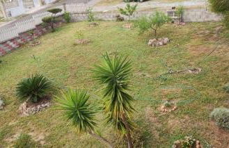 Sa Mendula - Foto 13