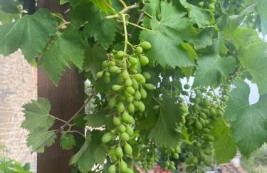 Private Stone Cottage with Starlink & Lake View - Foto 49