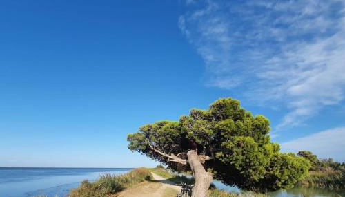 T2 cosy à la plage, terrasse vue sur mer et parking privatif - Photo 4