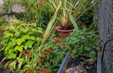 Gourmandise - Foto 18