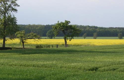 Haus Schaumburger Land - Foto 18