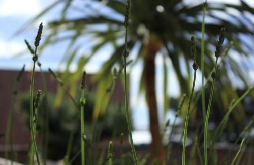 La Poussada, maisons écologiques avec vue mer - Foto 20