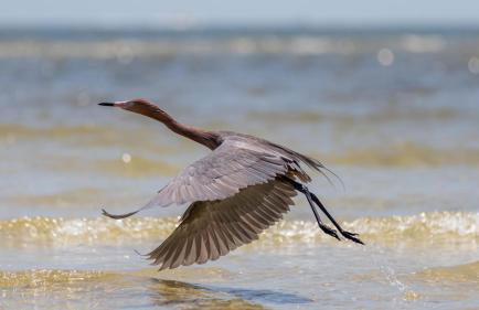 Sandpiper Beach #405 - Foto 40