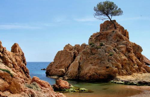 Mar menuda a pocos metros de la playa - Foto 36