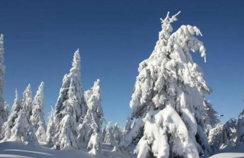 Apartment Fewo Silberglanz by Interhome - Foto 13