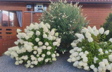 MIODOWA SADYBA Domki całoroczne Kluczbork - Foto 3