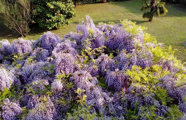 Scenic Holiday Home in Pastrengo near Lazise Lake & City Center - Foto 12