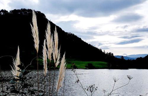 PequeñoCabárceno - Foto 60