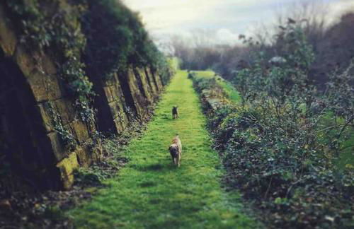 City Centre Georgian Qtr Apartment Canning St 2bed 2bath - Foto 26