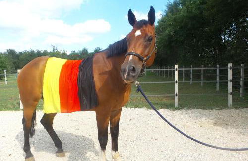 Agriturismo Domus Magna - Foto 32