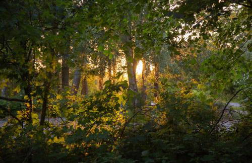 Wohnen am Südstrand - Ferienwohnung 1 4 - Foto 24