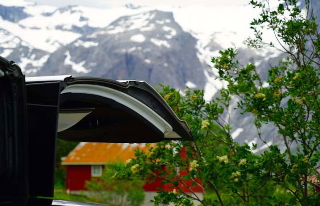 Tour panoramico dei fiordi norvegesi in Tesla - Foto 5