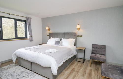 Barcud Coch - Red Kite - Photo 16