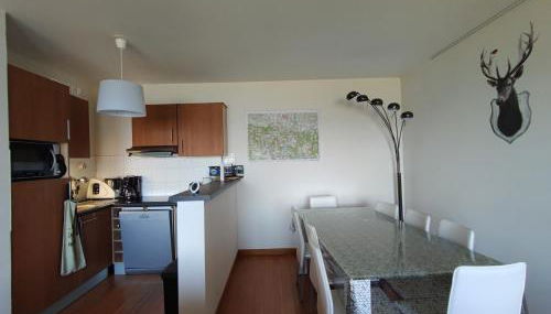 Le Cosy Pyrénées pied de pistes Sérias - Foto 5