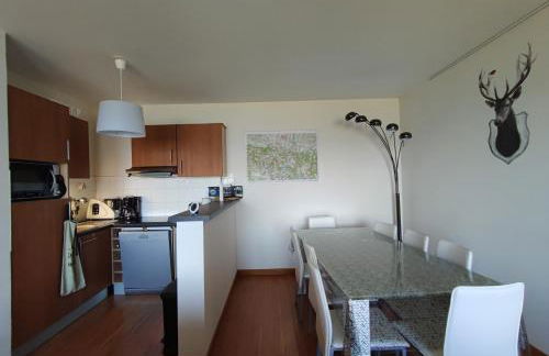 Le Cosy Pyrénées pied de pistes Sérias - Foto 5