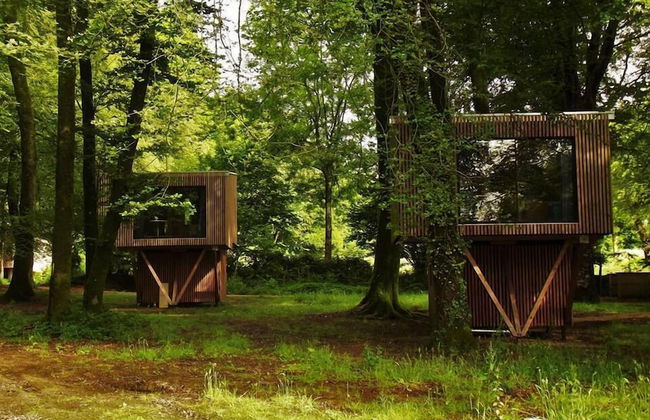 Etape en forêt - Foto 4