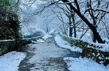 Farmhouse Feels & Peak Views - Foto 39