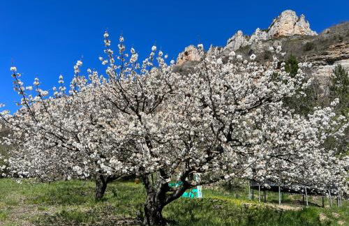 Gîte du Vallon des Sources - Foto 16