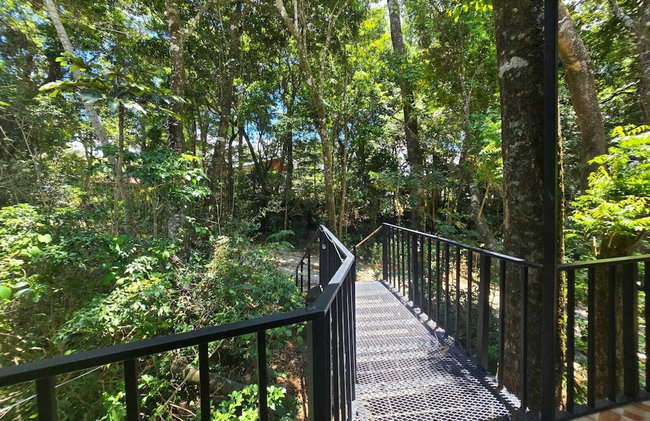 Cabañas Roca Verde Monteverde - Photo 49