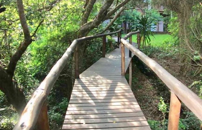 Kangela 13 - Photo 9