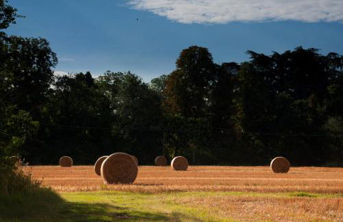 Agriturismo Primaluna - Photo 34