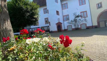 Schloss Nidda - FeWo mit Privatgarten, Fellnasen willkommen! - Foto 2